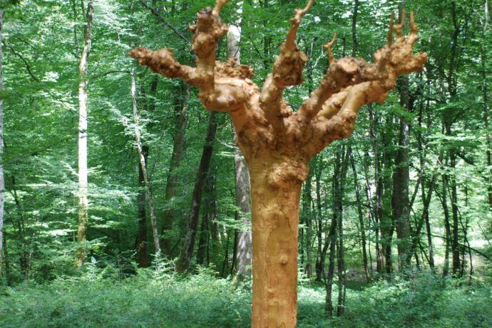 MUSEE – BARAQUES DU 14_8