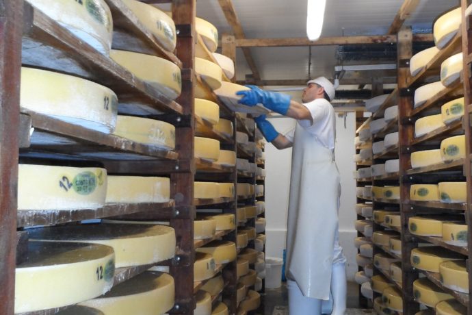 FRUITIERE – COOPERATIVE FROMAGERE DE CHEVIGNY_8