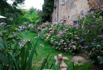 Jardins – Association les Amis du jardin et de la collection végétale « Annabelle »