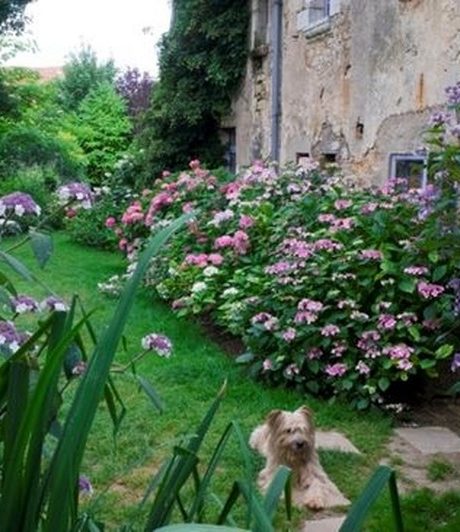 Jardins – Association les Amis du jardin et de la collection végétale « Annabelle »
