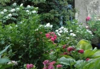 Jardins – Association les Amis du jardin et de la collection végétale « Annabelle »