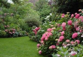 Jardins – Association les Amis du jardin et de la collection végétale « Annabelle »