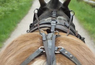 Les Roulottes Che’val d’Amour