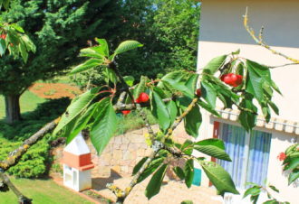 Location saisonniere – dejeux