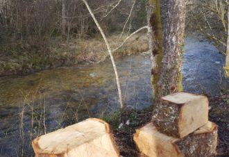 Camping domaine de la fraite