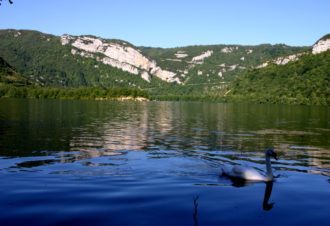 Camping municipal sous le moulin