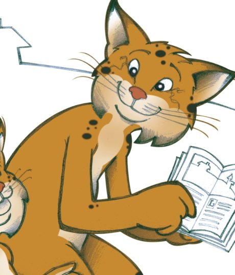 Jeu « À la recherche de Lynxou »