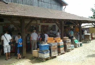 Les miels du Massif du Jura