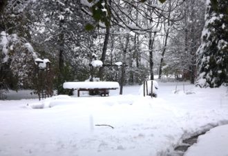 Les castors loufoques