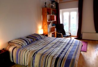 Les castors loufoques