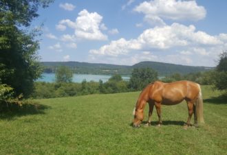 Centre équestre de Chalain