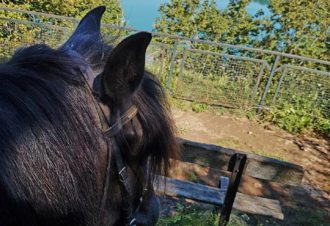 Centre équestre de Chalain