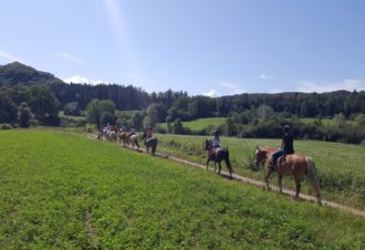 Centre équestre de Chalain