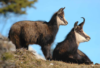 Eric wolff guide naturaliste