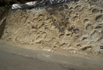 Empreintes de dinosaures à Coisia