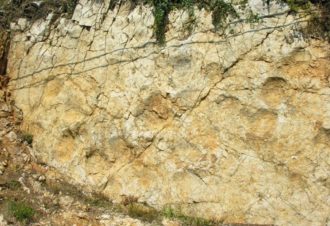 Empreintes de dinosaures à Coisia