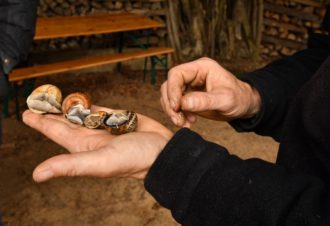 Les escargots du Moulin Burignat