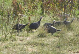 Produits du terroir – La Grange Rouge