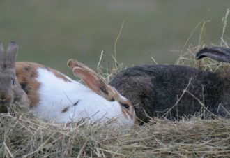 Produits du terroir – La Grange Rouge