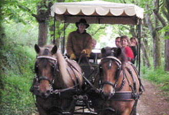 Les attelages du château