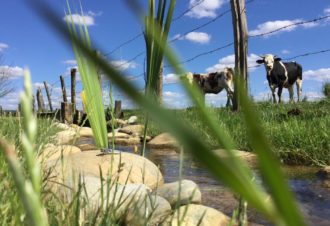 Appartement – Moulin de Nilly