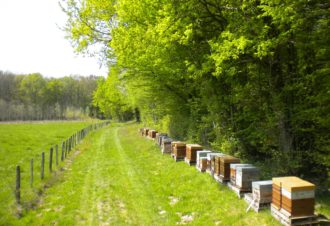 Apiculteur – gaec le miel du jura