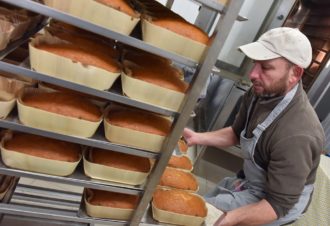 Apiculteur – gaec le miel du jura