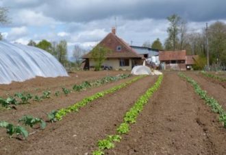 Ferme – au bas de l’étang