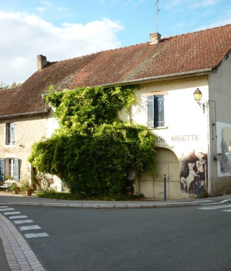 Chambres d’hôtes – le jardin de misette
