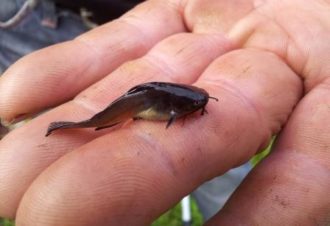 Les étangs de la bresse jurassienne