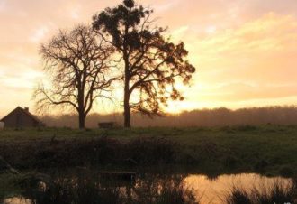 Les étangs de la bresse jurassienne