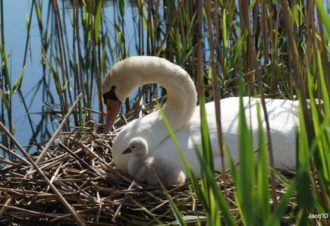 Les étangs de la bresse jurassienne