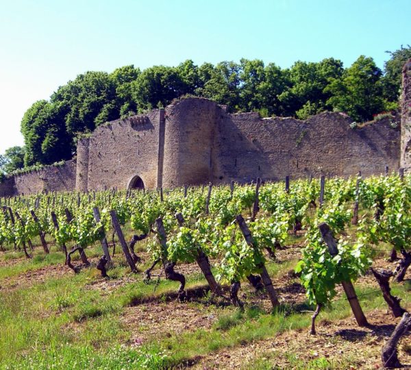 Domaine du Château d’Arlay