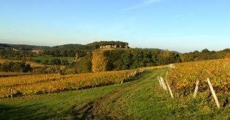 Domaine du Château d’Arlay