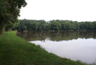 Pêche de loisirs en no-kill – pêche en étang