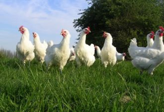 Ferme Roussel-Voisard