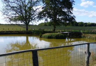 Chambres d’hôtes – gîte du marronnier