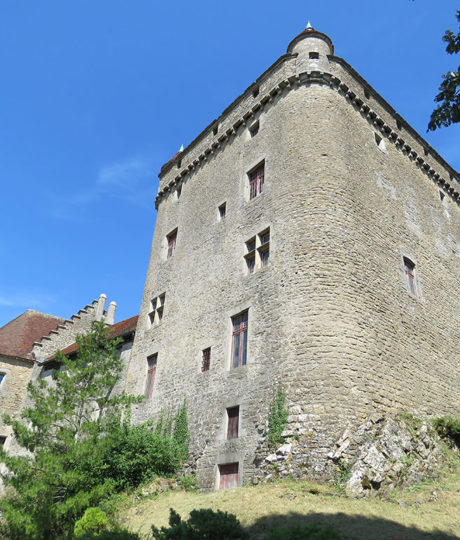 Château du Pin