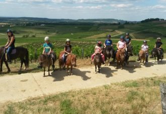 Poney club pirouette