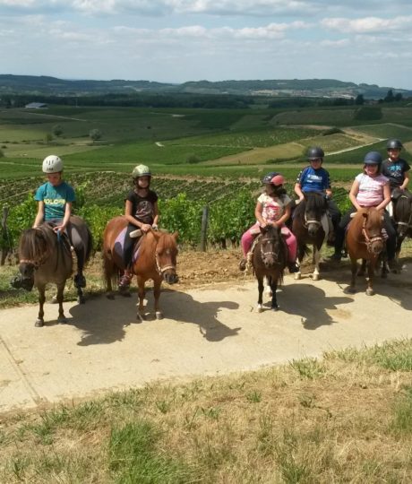 Poney club pirouette