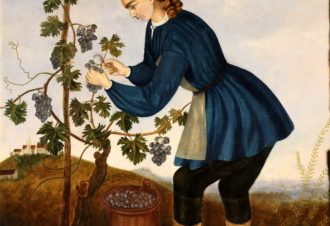 Les coteaux du Val de Sorne