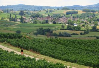 Chambres d’hôtes – la maison dans la vigne