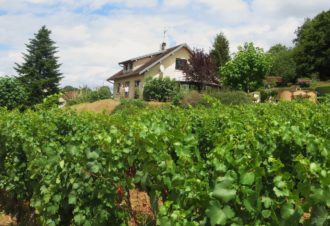 Chambres d’hôtes – la maison dans la vigne