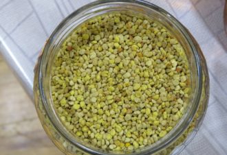 Julien COMPAGNON – Apiculteur professionnel