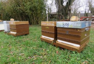 Julien COMPAGNON – Apiculteur professionnel