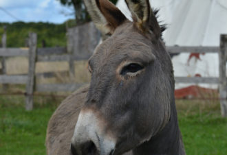 La ferme bress&rsquo;âne
