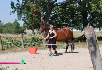 Ranch of the roses – équicoaching