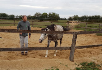 Ranch of the roses – équicoaching