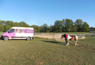 Ranch of the roses – équicoaching