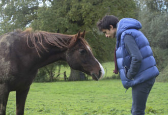 Ranch of the roses – équicoaching